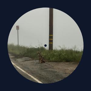 关婷娜黄色视频
