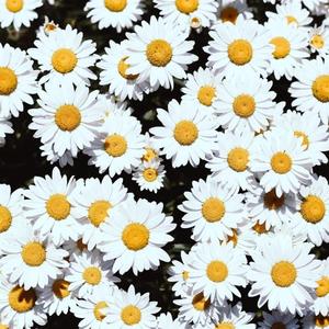 关婷娜黄色视频
