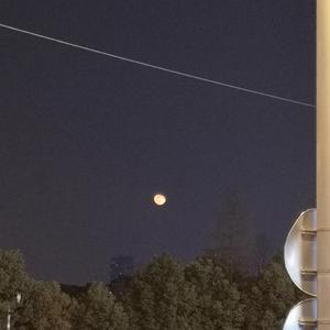 关婷娜黄色视频
